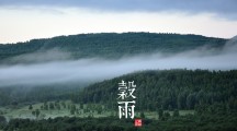 王軍接受記者采訪回應稅收熱點問題 