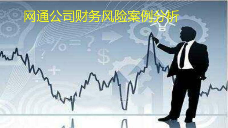 網(wǎng)通公司財務(wù)風(fēng)險案例分析