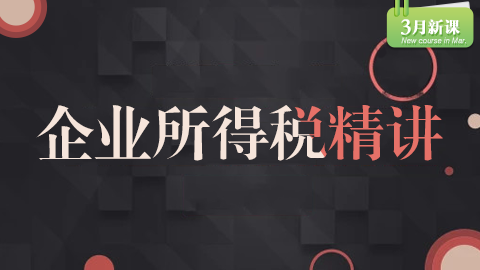 企業(yè)所得稅精講 