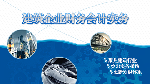建筑企業財務會計實務 