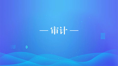 審計(jì) 